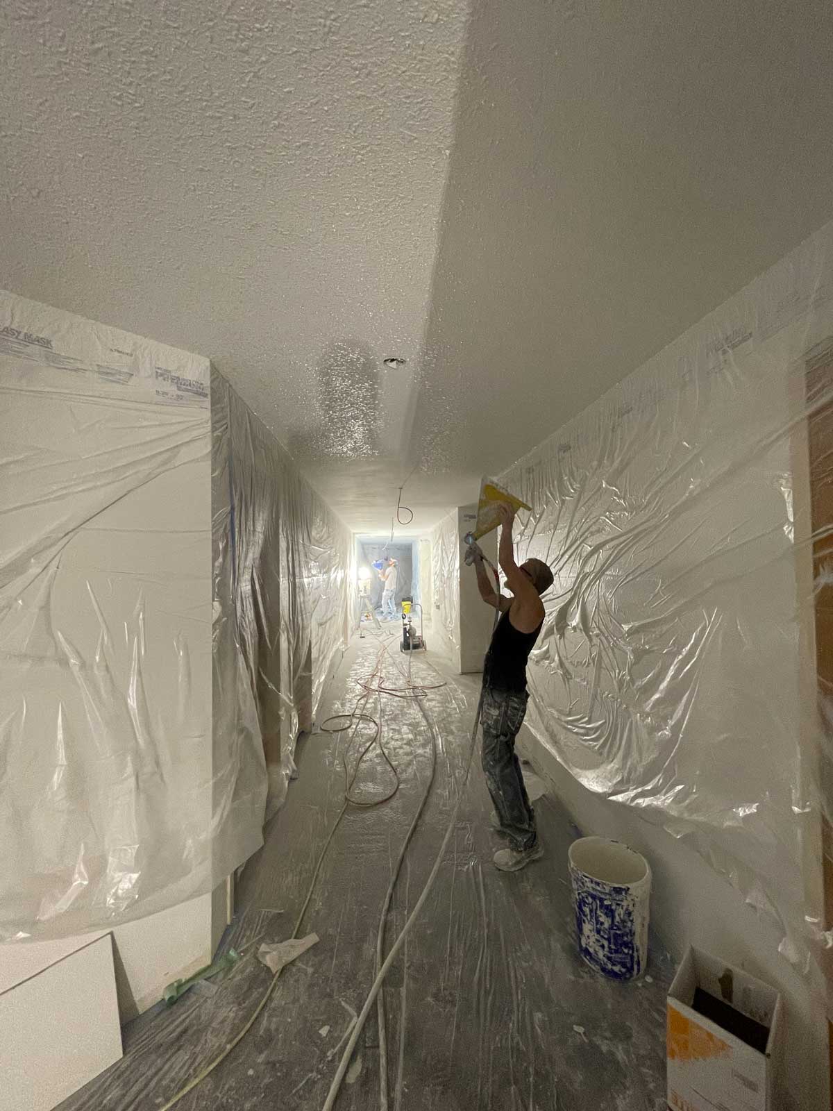 Ceiling Revitalization